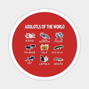 axolotls of the world funny Magnet